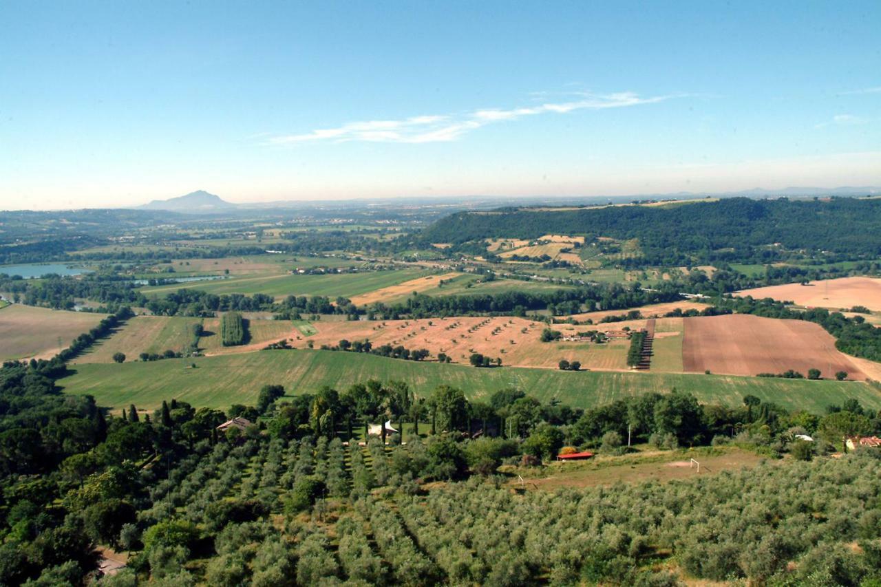 B&B Il Castello San Vito  エクステリア 写真